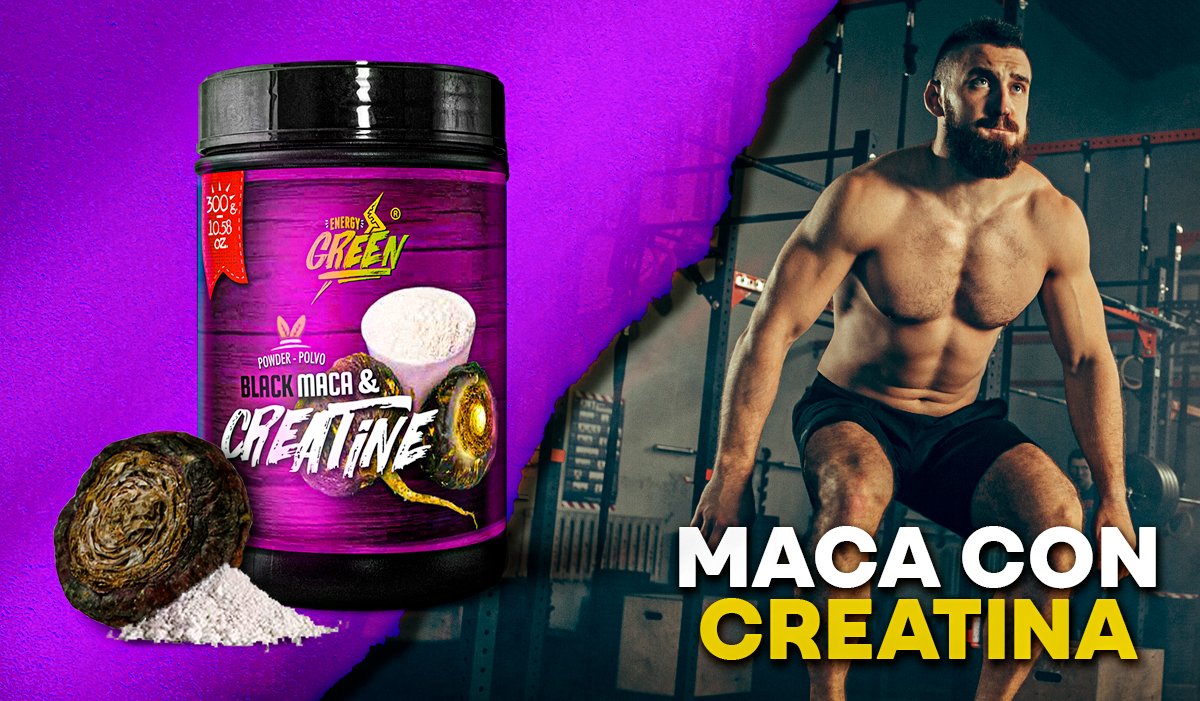beneficios maca negra gelatinizada creatina
