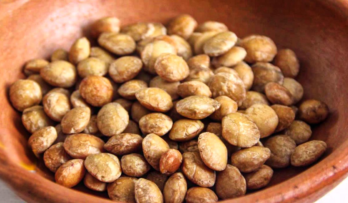 SNACKS SALUDABLES Y ORGANICOS