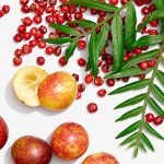 camu camu amazon andes