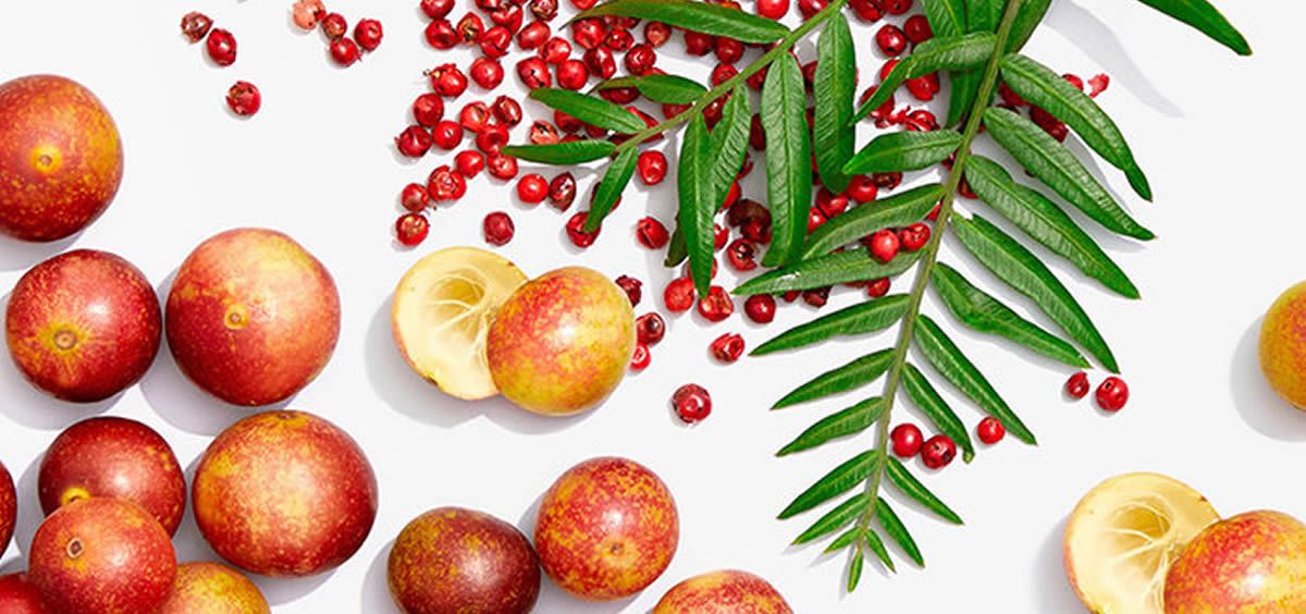 camu camu amazon andes