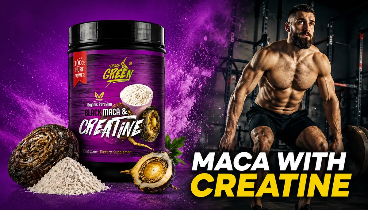 Maca root creatine for men