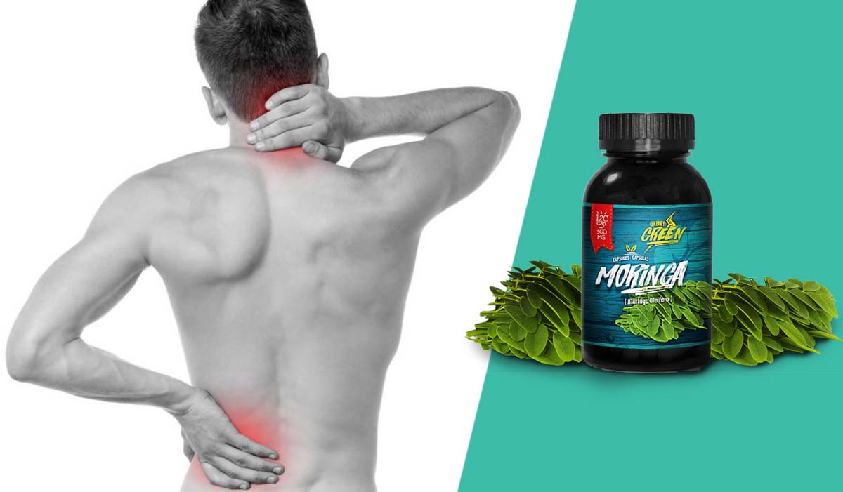 capsulas de moringa